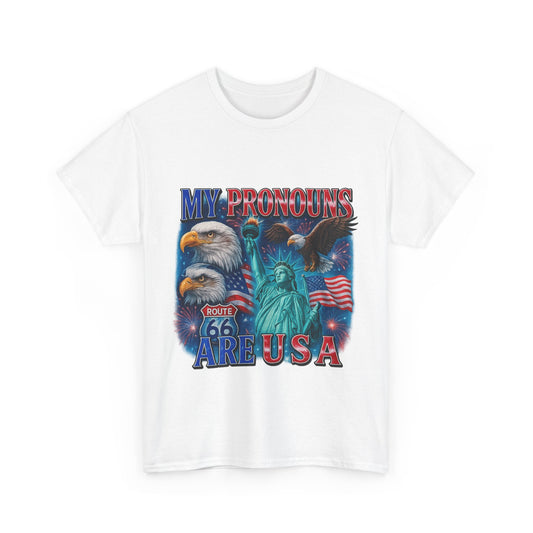 My Pronouns Are U/S/A