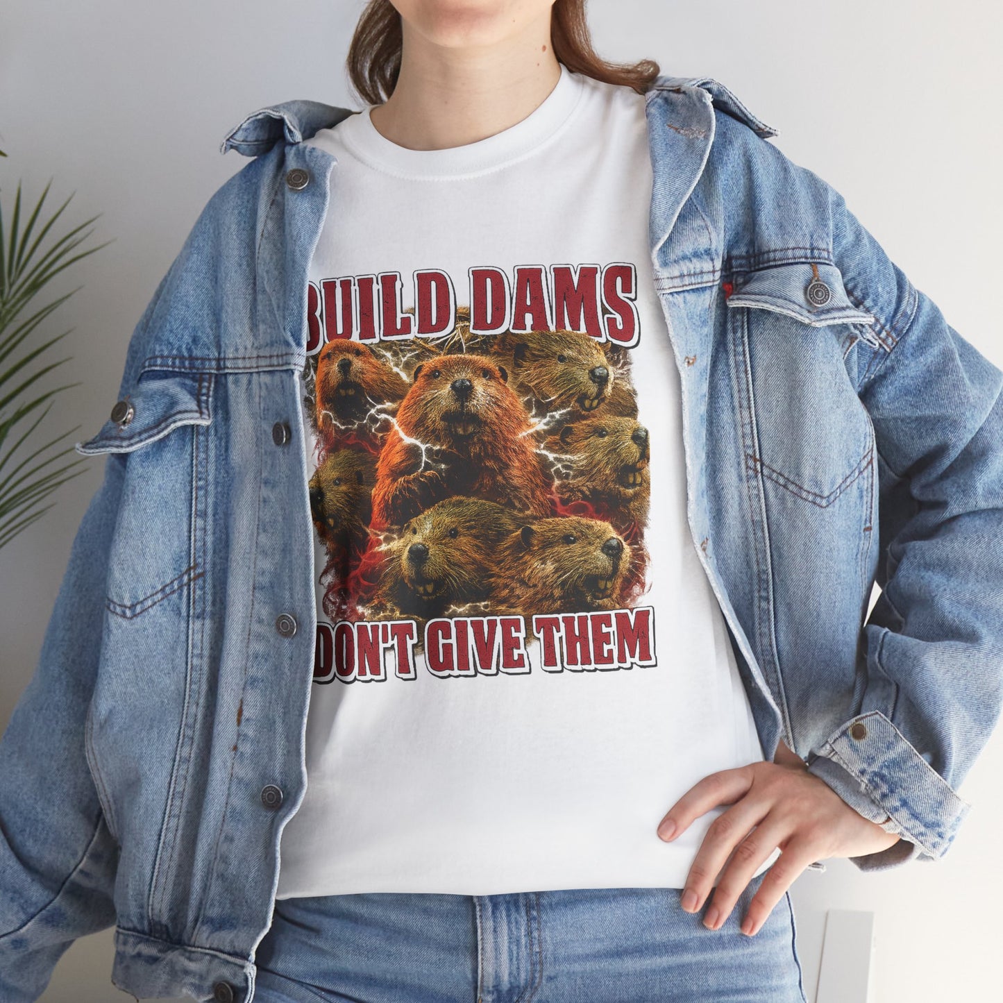 Build Dams, Don't Give Them