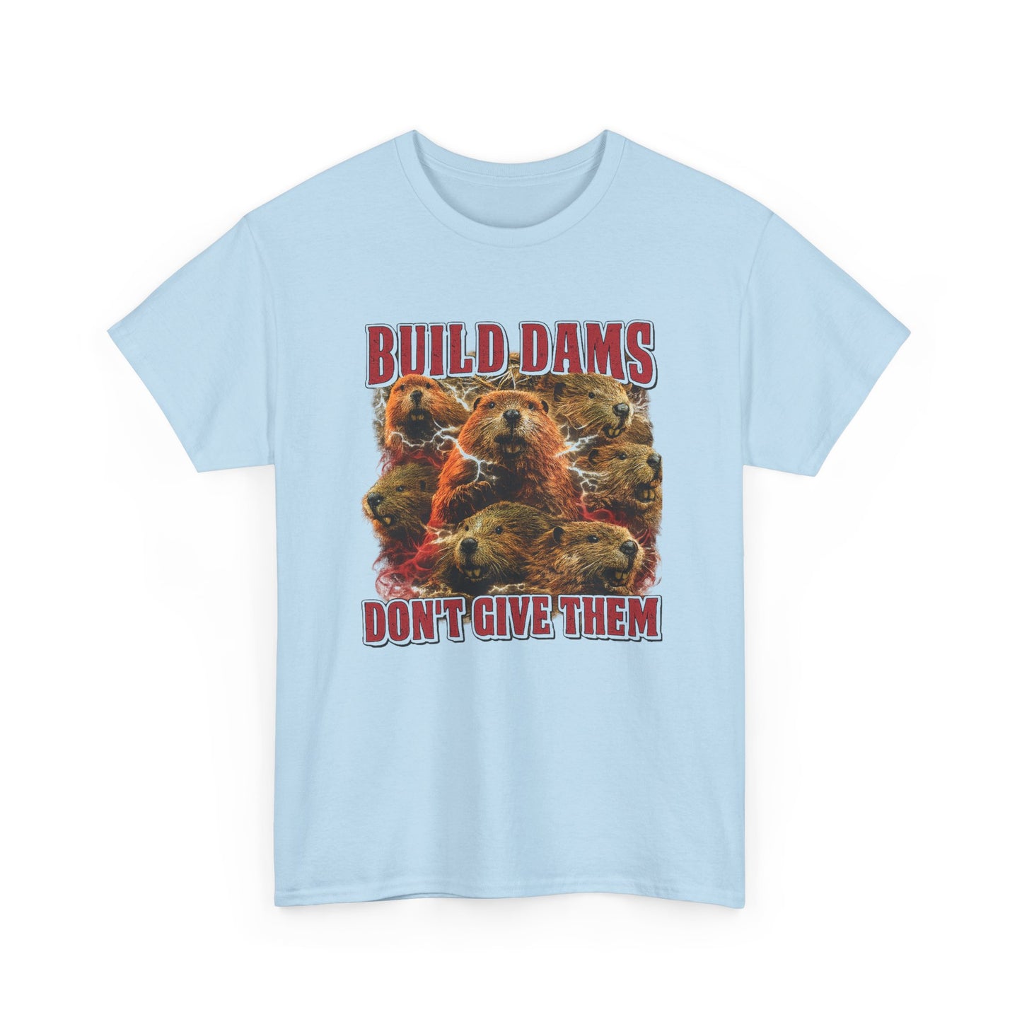 Build Dams, Don't Give Them