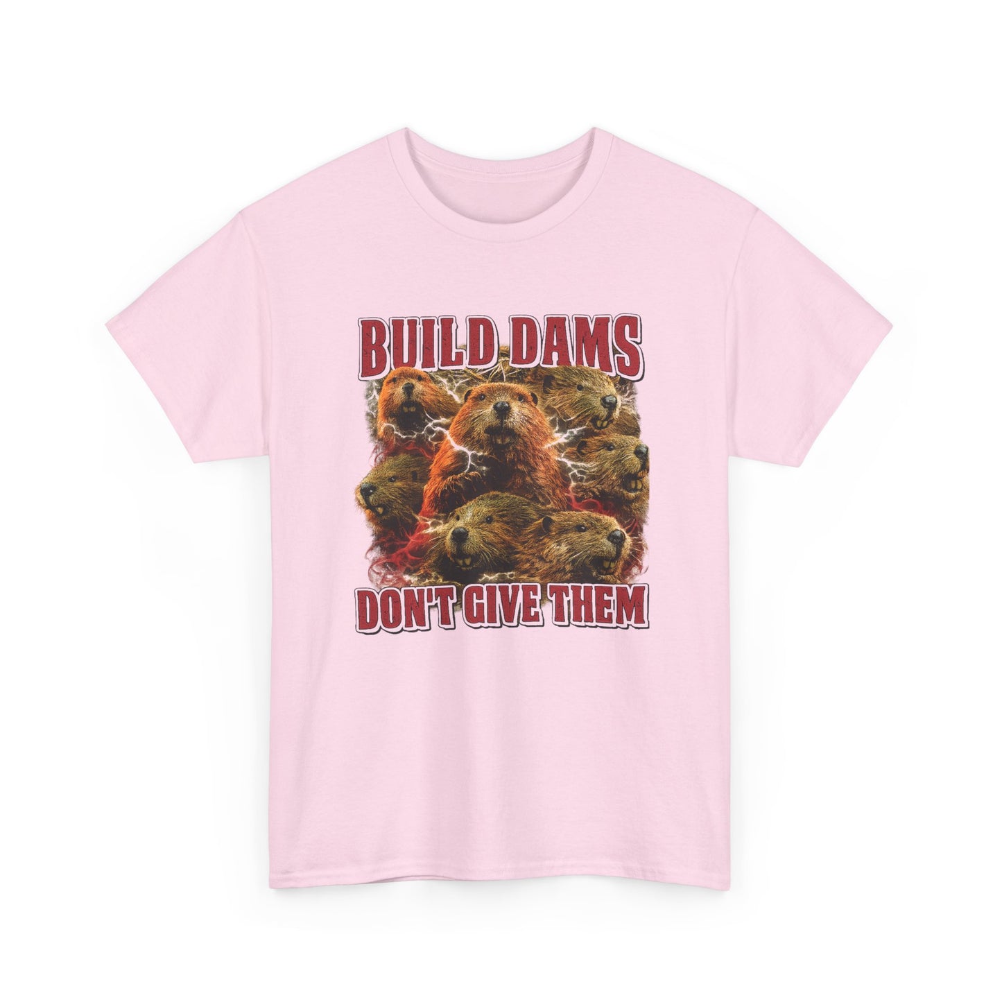 Build Dams, Don't Give Them