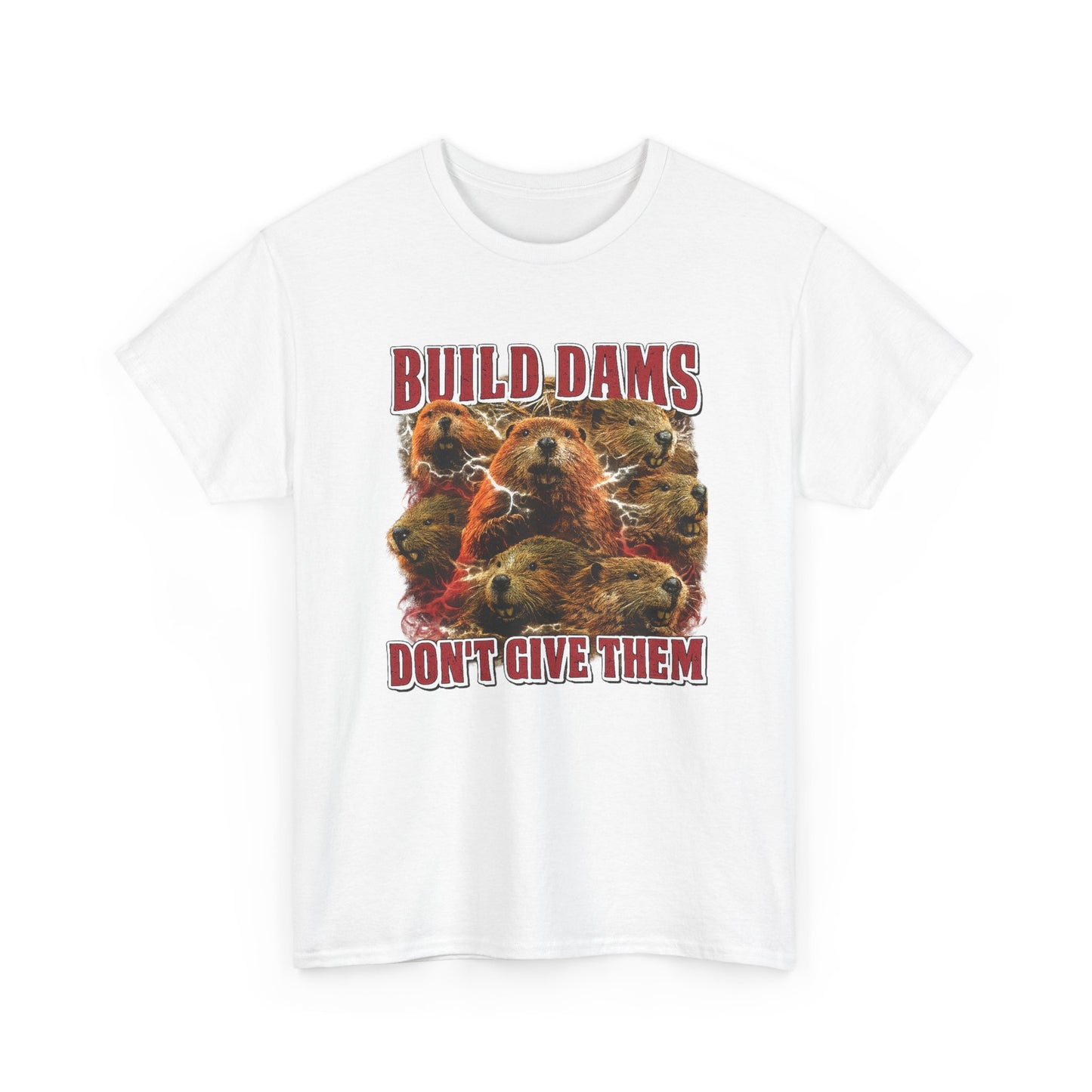 Build Dams, Don't Give Them